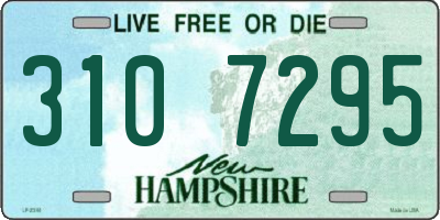 NH license plate 3107295