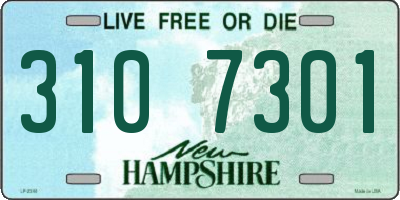 NH license plate 3107301