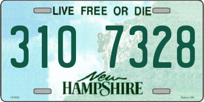 NH license plate 3107328