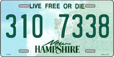 NH license plate 3107338