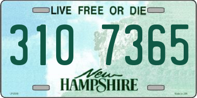 NH license plate 3107365