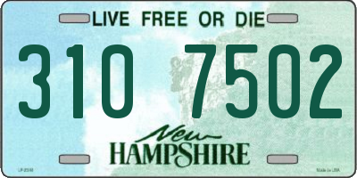 NH license plate 3107502