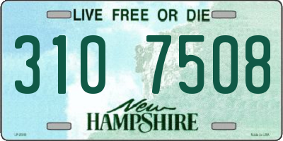 NH license plate 3107508