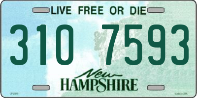 NH license plate 3107593