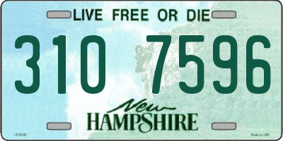 NH license plate 3107596