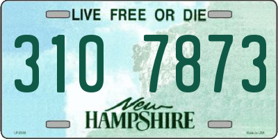 NH license plate 3107873