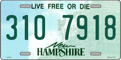 NH license plate 3107918