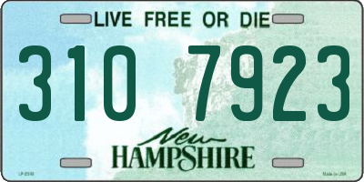 NH license plate 3107923