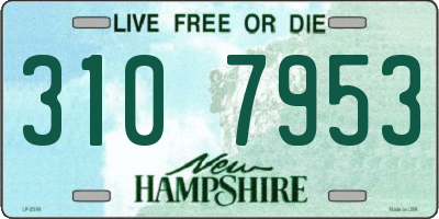 NH license plate 3107953