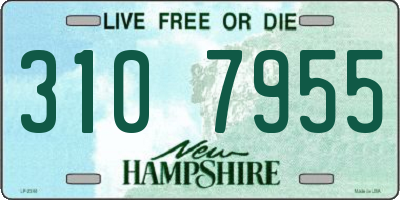 NH license plate 3107955