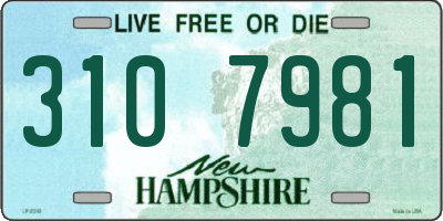 NH license plate 3107981