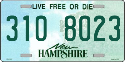 NH license plate 3108023