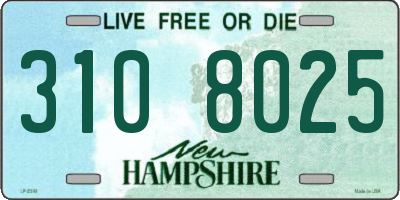 NH license plate 3108025