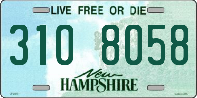 NH license plate 3108058
