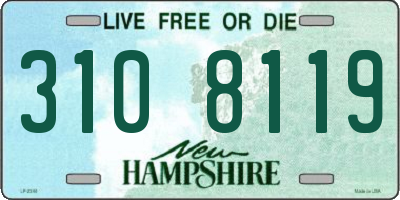 NH license plate 3108119