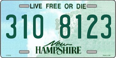 NH license plate 3108123