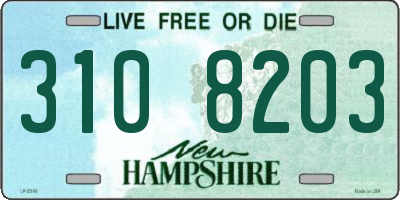 NH license plate 3108203