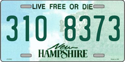 NH license plate 3108373
