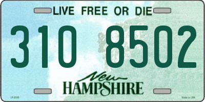 NH license plate 3108502