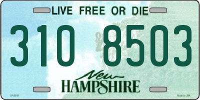NH license plate 3108503