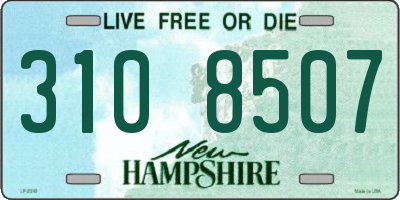 NH license plate 3108507