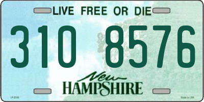 NH license plate 3108576