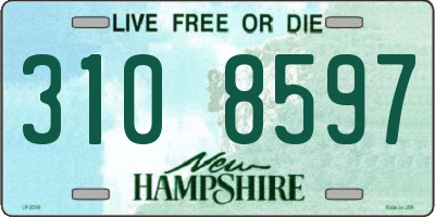 NH license plate 3108597