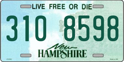NH license plate 3108598