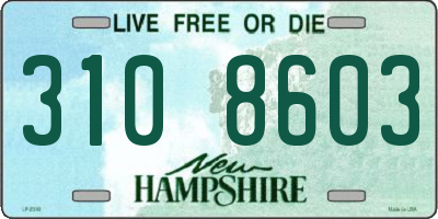 NH license plate 3108603