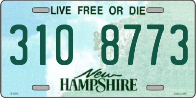 NH license plate 3108773