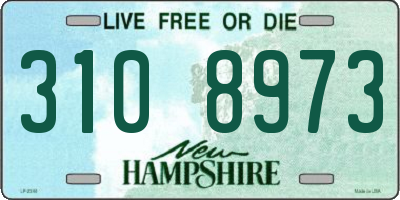 NH license plate 3108973