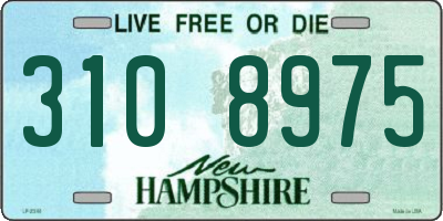 NH license plate 3108975