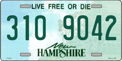 NH license plate 3109042