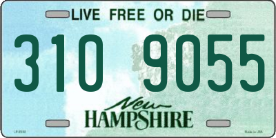 NH license plate 3109055
