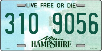 NH license plate 3109056