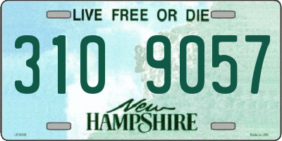 NH license plate 3109057