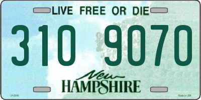 NH license plate 3109070