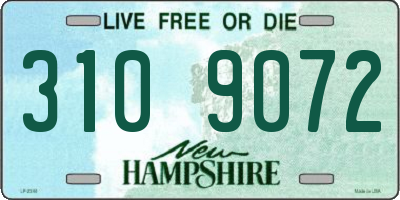 NH license plate 3109072