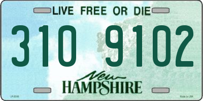 NH license plate 3109102
