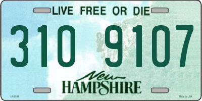 NH license plate 3109107