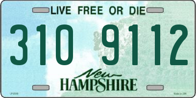 NH license plate 3109112