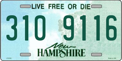 NH license plate 3109116