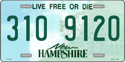 NH license plate 3109120