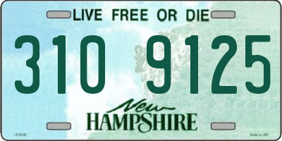 NH license plate 3109125