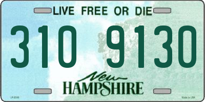 NH license plate 3109130