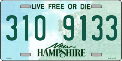NH license plate 3109133