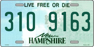 NH license plate 3109163