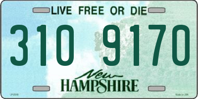 NH license plate 3109170