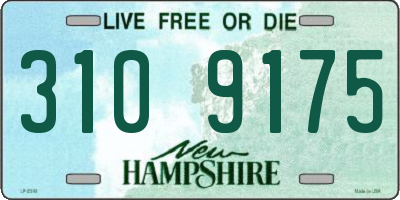 NH license plate 3109175