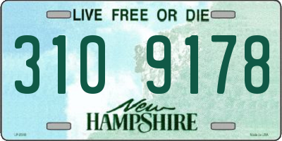 NH license plate 3109178